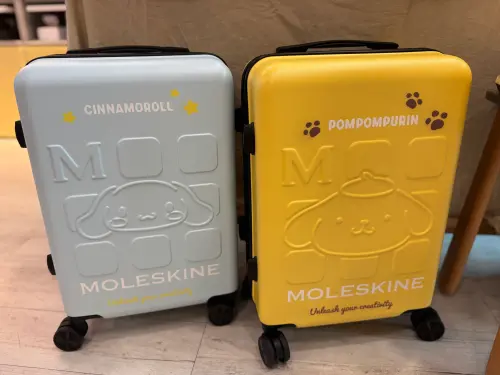 ▲20吋登機箱，ABS+PC材質，鋁合金拉桿，靜音360度方向輪，好推不卡頓。（圖／記者鍾怡婷攝）