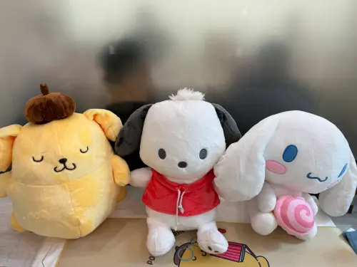 ▲16吋大絨毛，磨毛柔軟親膚，加價購379元。（圖／記者鍾怡婷攝）