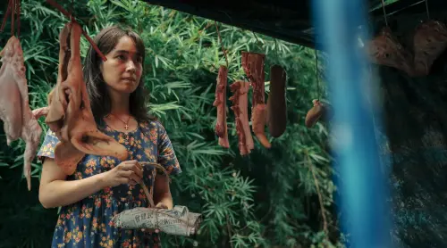 2025金片子入圍名單公布！小薰、鄭又菲爭影后　總獎金高達113萬
