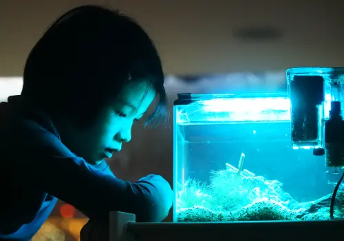 ▲金馬新演員鄭又菲（如圖）則以《抓耙仔》細膩詮釋10歲少女的掙扎成長。