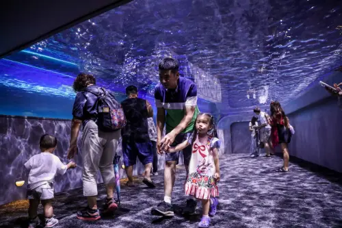 ▲小朋友參觀海洋觀，場面相當熱絡(圖／觀旅局提供2025.10.8)