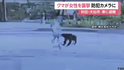 監視器罕見拍下！日8旬老婦散步遭黑熊「猛撲襲擊」　驚悚瞬間曝
