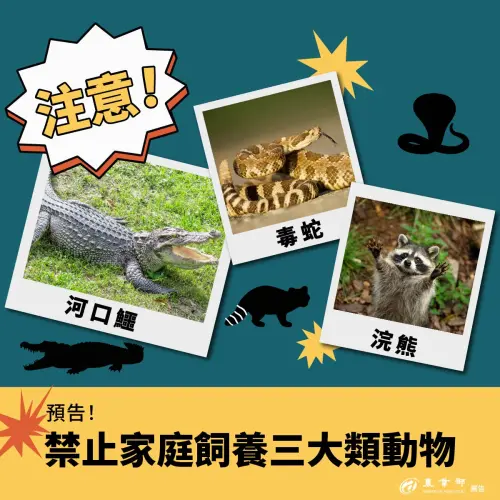 ▲禁止飼養懶人包。（圖／農業部）