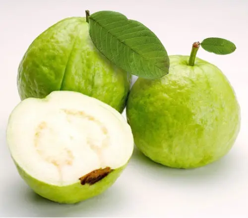 ▲新化果菜市場，珍珠芭樂3斤_袋 推薦價300元。