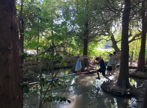 ▲桃園熱門景點「野趣森林」（圖／記者賴禹妡攝）
