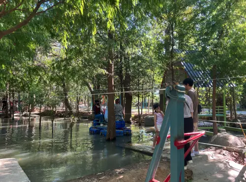 ▲桃園熱門景點「野趣森林」（圖／記者賴禹妡攝）