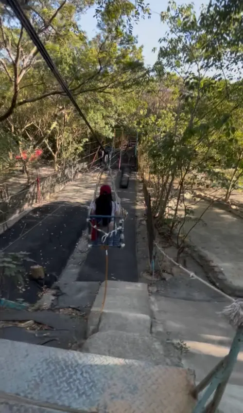 ▲桃園熱門景點「野趣森林」（圖／記者賴禹妡攝）