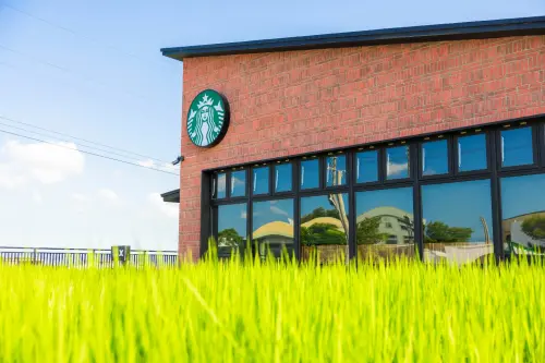 苑裡星巴克開幕！10/14前第2杯半價　看最美打卡點：女神稻田彩繪

