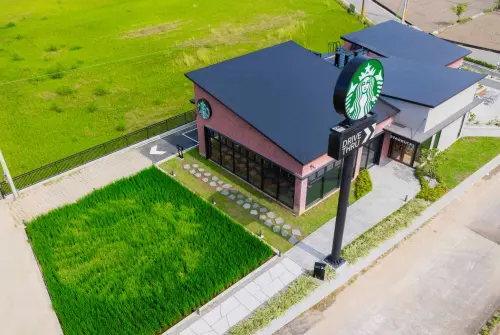 ▲星巴克「苑裡稻香門市」旁更有星巴克招牌LOGO女神的稻田彩繪。（圖／星巴克提供）