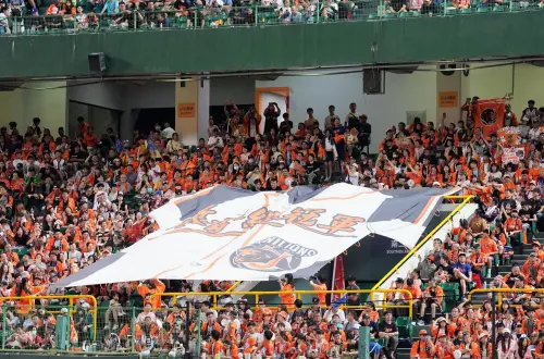 中職季後賽／獅猿爭鋒票房開紅盤！首戰13124人進場　明移師桃園
