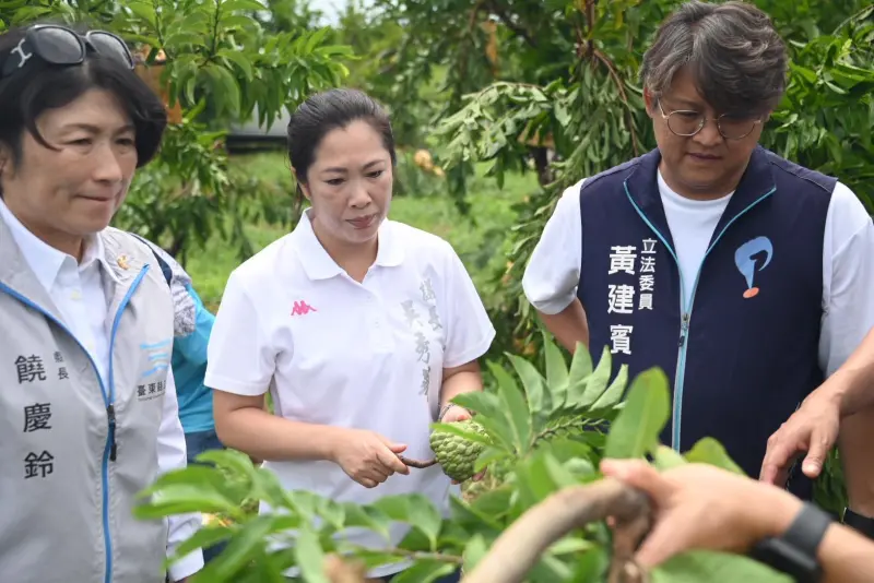    ▲身為黨內唯一表態參選的吳秀華，早就被外界視為陳瑩潛在對手。（圖／翻攝自台東縣議會臉書）  