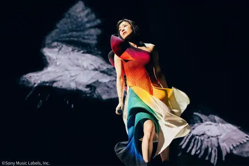 ▲宇多田光演唱會電影、快閃店活動，都在11月14日登台。（圖／大鴻藝術BIG ART）