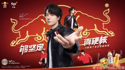 ▲王一博是中國高知名度的藝人，身兼歌手、演員、舞者、主持人及賽車手等多重身份。（圖／翻攝自紅牛官方微博）