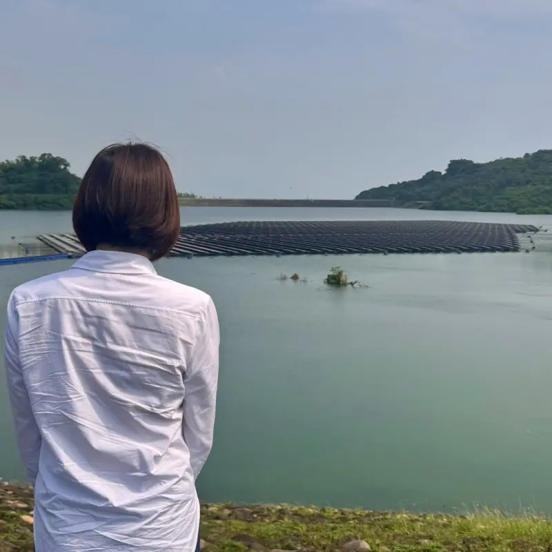 ▲國民黨立委陳菁徽日前指出鳳山水庫也一片光電板。（圖／取自陳菁徽臉書）