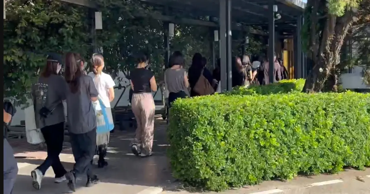 ▲長榮34歲孫姓空服員疑似罹患「史迪爾氏症」，執勤期間疑似發病，返台後送醫卻不幸病逝，日前在親友的陪伴下走最後一程。醫師表示，若高燒超過1週且發疹，建議就醫檢查。（圖／讀者提供）