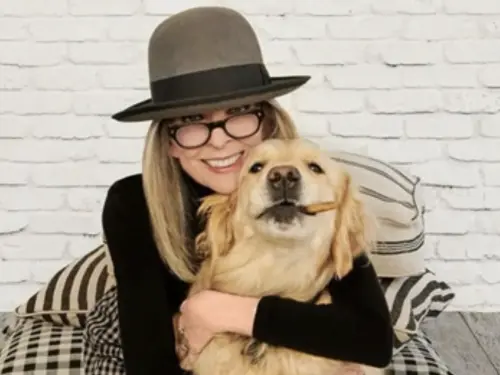 ▲黛安基頓生前愛狗，最後一則發布的圖文也與狗有關。（圖／摘自 IG@diane_keaton)