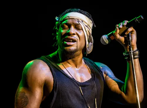 ▲拿過4座葛萊美！靈魂歌手D’Angelo胰臟癌逝（圖／美聯社／達志影像）