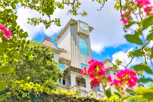 清寒大學生休學離世前留手機讓弟換錢　外婆泣盼社會接住內向孩子
