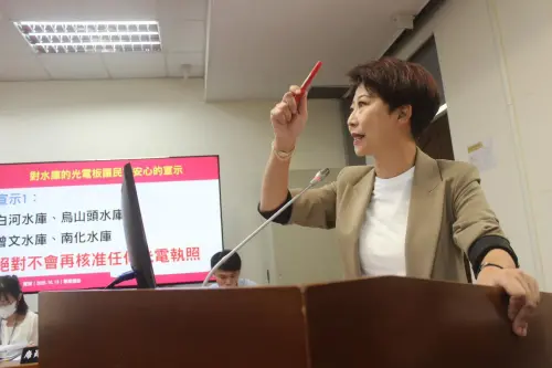 賴清德要她解釋烏山頭光電板爭議！陳亭妃喊冤：被斷章取義
