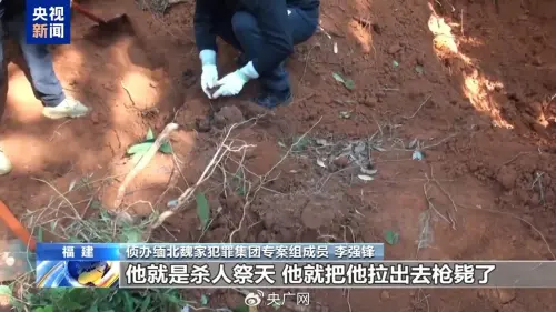 殺人祭天！緬北魏家詐騙園區犯罪實錄曝「一個中國人128萬」
