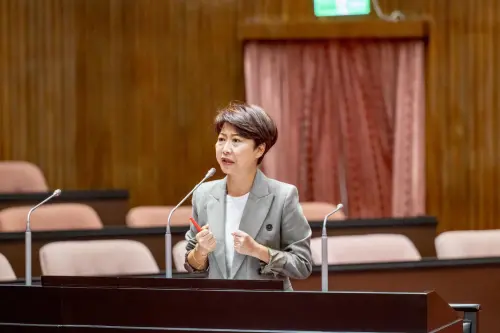 陳亭妃好冤？質詢光電板遭「賴清德關切」　名醫嘆：台南變天
