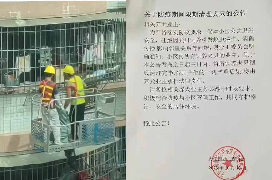 中國廣東屈公病又燒！防疫人員登門拆窗剪樹 社區連小狗也要殲滅