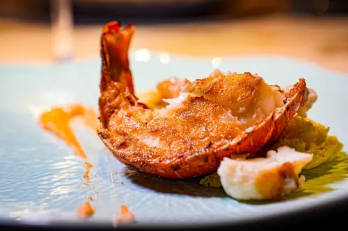 ▲初海「野生大龍蝦」份量十足。（圖／馬辣集團提供）