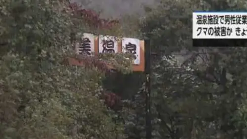 岩手縣溫泉員工疑遭熊襲！警方、獵人合作搜索　尋獲身分待查遺體
