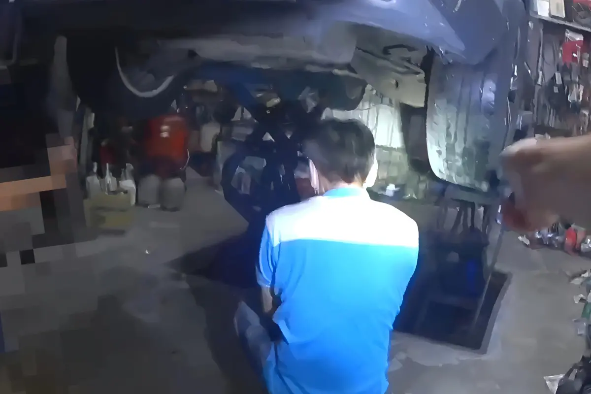 ▲穿山甲誤入民宅車底，仔細查看車輛底盤，果真在右後輪夾縫間發現一隻穿山甲。（圖／記者莊全成翻攝）