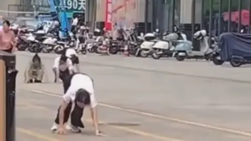 中國惠州大街多人爬行學狗叫！疑企業罰員工　網：跟緬北有何不同
