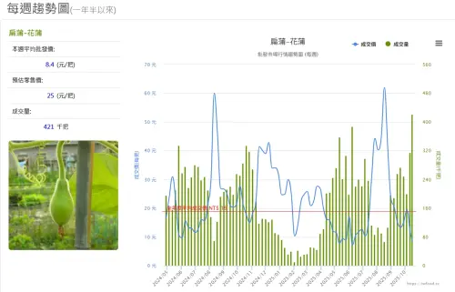 ▲本周蒲瓜（扁蒲）平均批發價為一把8.4元，比全年度平均成交價19元的一半還要低價。（圖／當季好蔬果網站）