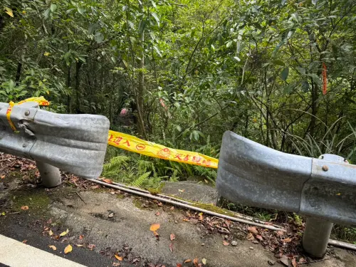 ▲ 18日新北坪林有7人登山遭蜂群攻擊，幸好均清醒送醫獲救。（圖／新店分局提供）