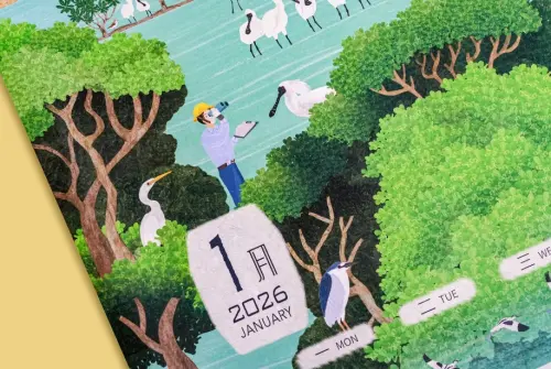 ▲台電月曆一月首先由國際嬌客黑面琵鷺打頭陣。（圖／台電提供）