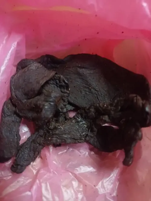 ▲老菜脯是經過長時間發酵和熟成的蘿蔔乾，顏色會變得黝黑油亮，表面可能出現鹽分結晶。（圖／家常菜臉書）