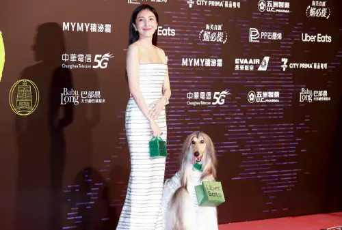 ▲楊謹華撞臉又撞衫阿富汗獵犬。（圖／NOWNEWS攝影中心）