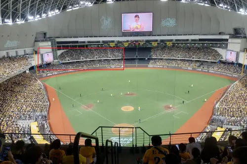 ▲樂天桃猿3500人都坐在左外野區域，與滿場的黃金球衣形成鮮明對比。（圖／記者林柏年攝 ,2025.10.18）