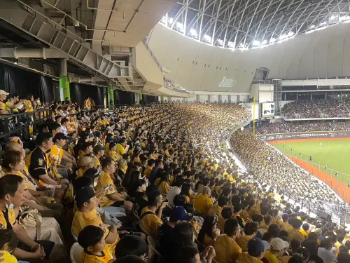 ▲滿場兄弟迷都整齊地身穿黃色球衣應援，看過去一片黃海，場面相當震撼。（圖／記者林子翔攝 ,2025.10.18）