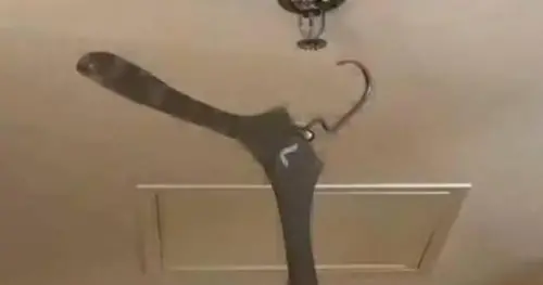 中國旅客住飯店衣亂掛！灑水頭噴出10噸水　日飯店開68萬天價帳單
