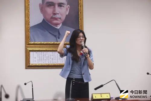 鄭麗文當黨主席　藍議員轟「弔詭」：縣市首長、立委幾乎沒人支持
