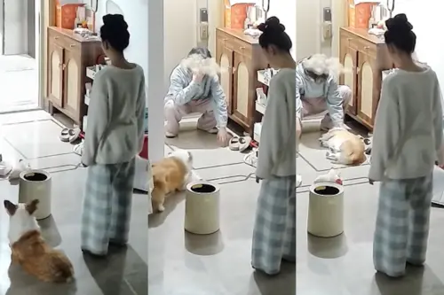 ▲（圖／翻攝おいしいかき氷YouTube）