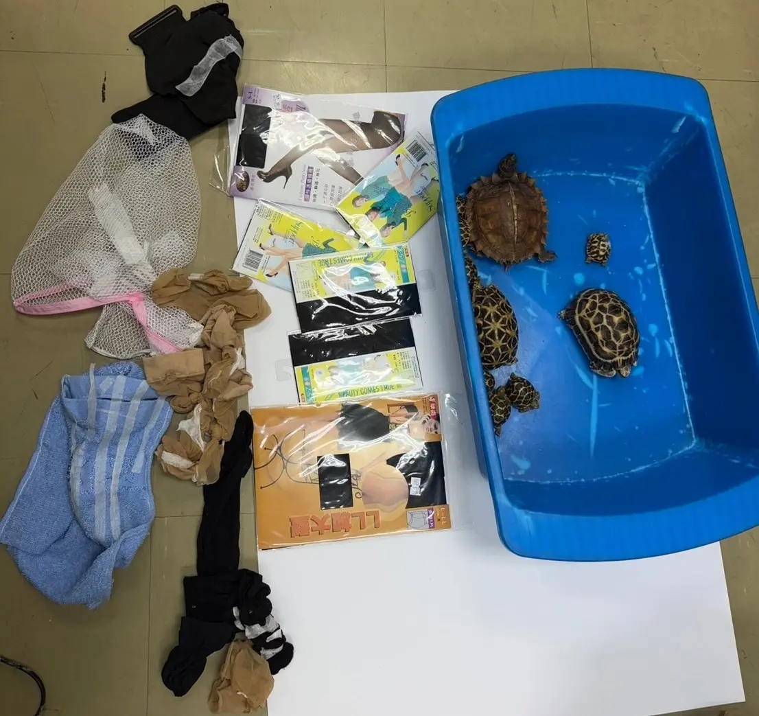 ▲3名台灣男子透過絲襪以及綁帶試圖偷渡泰國受保護的野生動物闖過曼谷機場海關，遭泰國海關逮捕。（圖／翻攝自臉書）