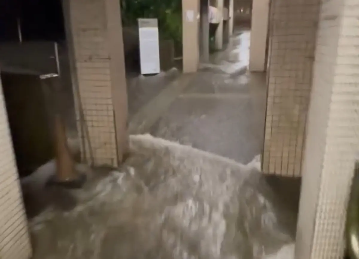 ▲北台灣深夜灌進豪雨，大雨使得政大校園內瞬間出現滑水道，讓學生崩潰直呼「回個宿舍要溯溪！」（圖／翻攝Threads）
