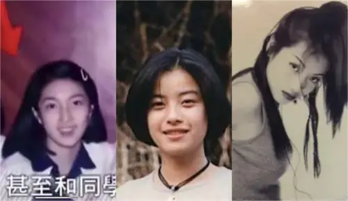 ▲楊謹華、徐懷鈺、蔡淑臻（圖／翻攝自微博、紅書、麻辣天后傳）