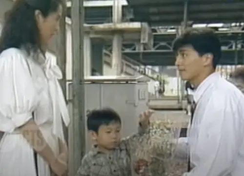 ▲《不了情》最後被迫順應民意，高金素梅（左）、何家勁（右）與兩人的孩子大團圓收場。（圖／摘自華視懷舊頻道YT）