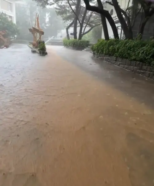 ▲（圖／翻攝自Threads@huiting209、xx.c_k.z_i）