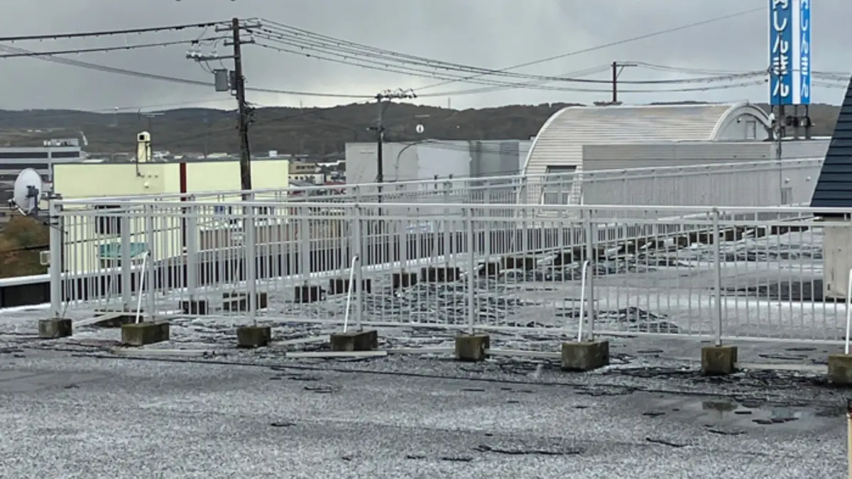 ▲冬季型氣壓配置增強以及高空冷空氣南下的影響，北海道稚內市在今（20）日觀測到初雪。（圖／翻攝自ウェザーニューズ）