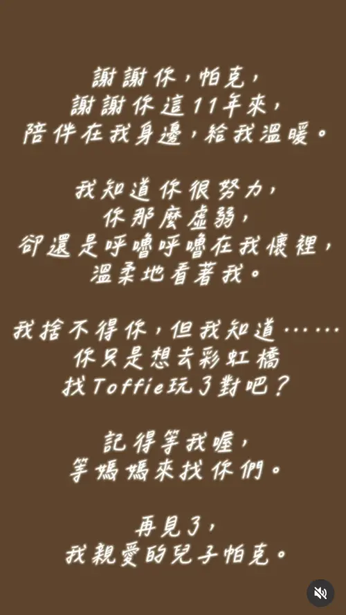 ▲李宓昨日在IG發貼文，淚崩表示愛貓帕克過世。（圖／翻攝自IG mintangelme）