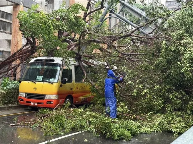 ▲ 新竹市東門國小外午後強風刮倒路樹，壓中停放巴士並扯歪路牌，幸無人傷亡。（圖／翻攝畫面）