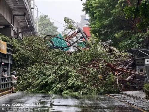 ▲ 新竹市東門國小外午後強風刮倒路樹，壓中停放巴士並扯歪路牌，幸無人傷亡。（圖／翻攝畫面）