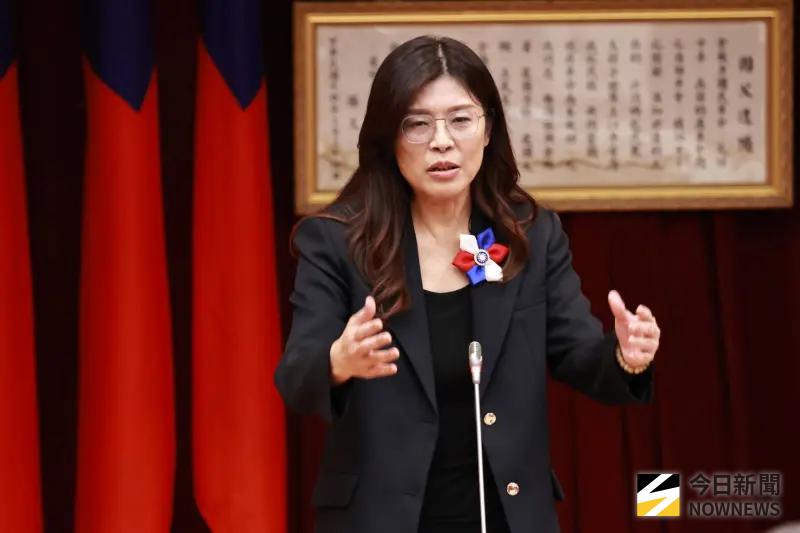 ▲國民黨準黨主席鄭麗文說，國民黨有能量可以問鼎總統的政治明星，也可能不只一位。（圖／記者吳翊緁攝）